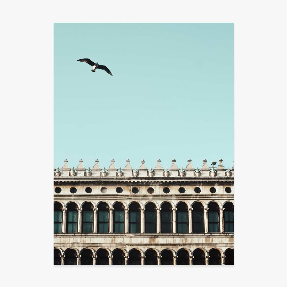 Poster pasăre și clădire