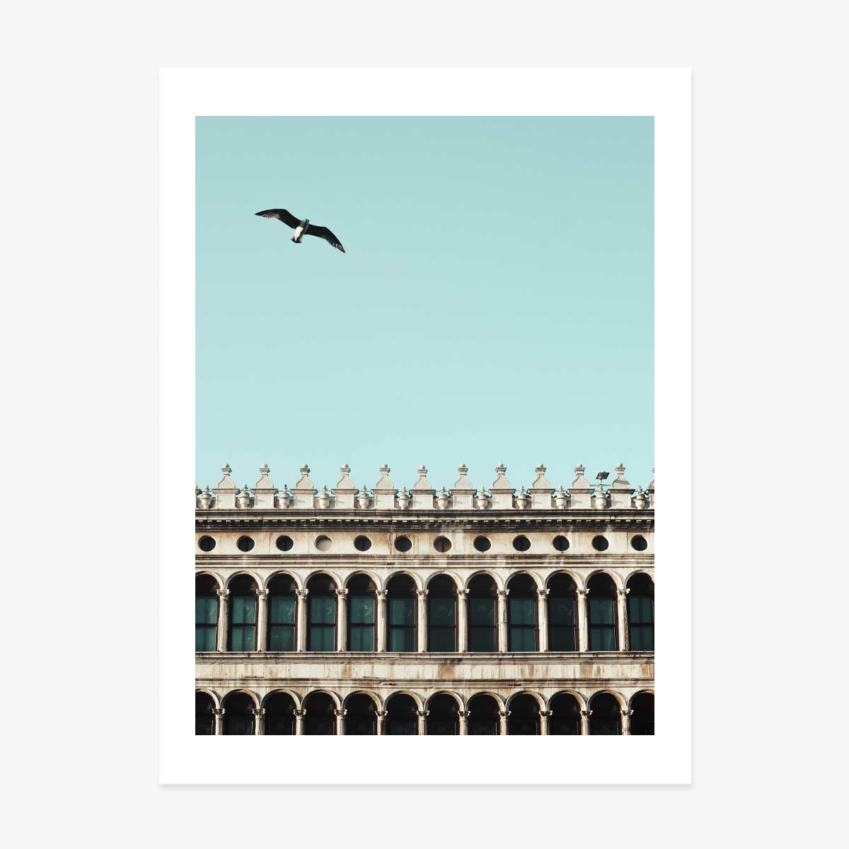 Poster pasăre și clădire