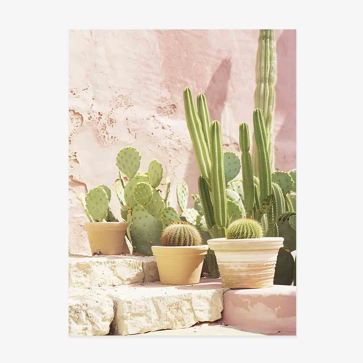 Cactus Poster