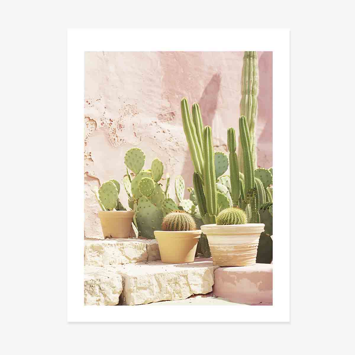 Cactus Poster