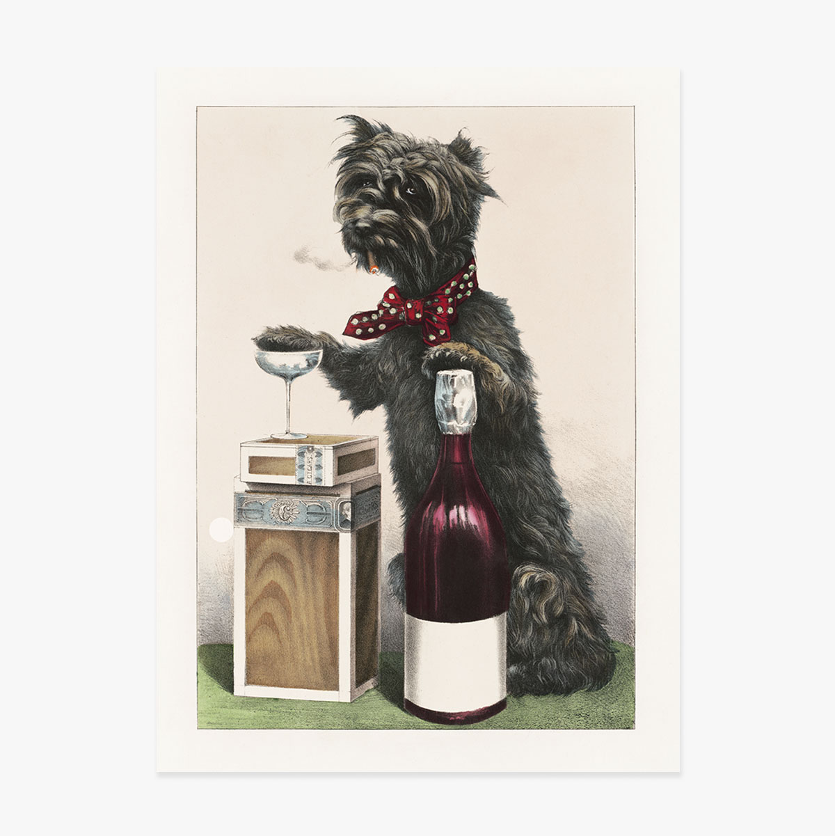 Happy Catel Poster