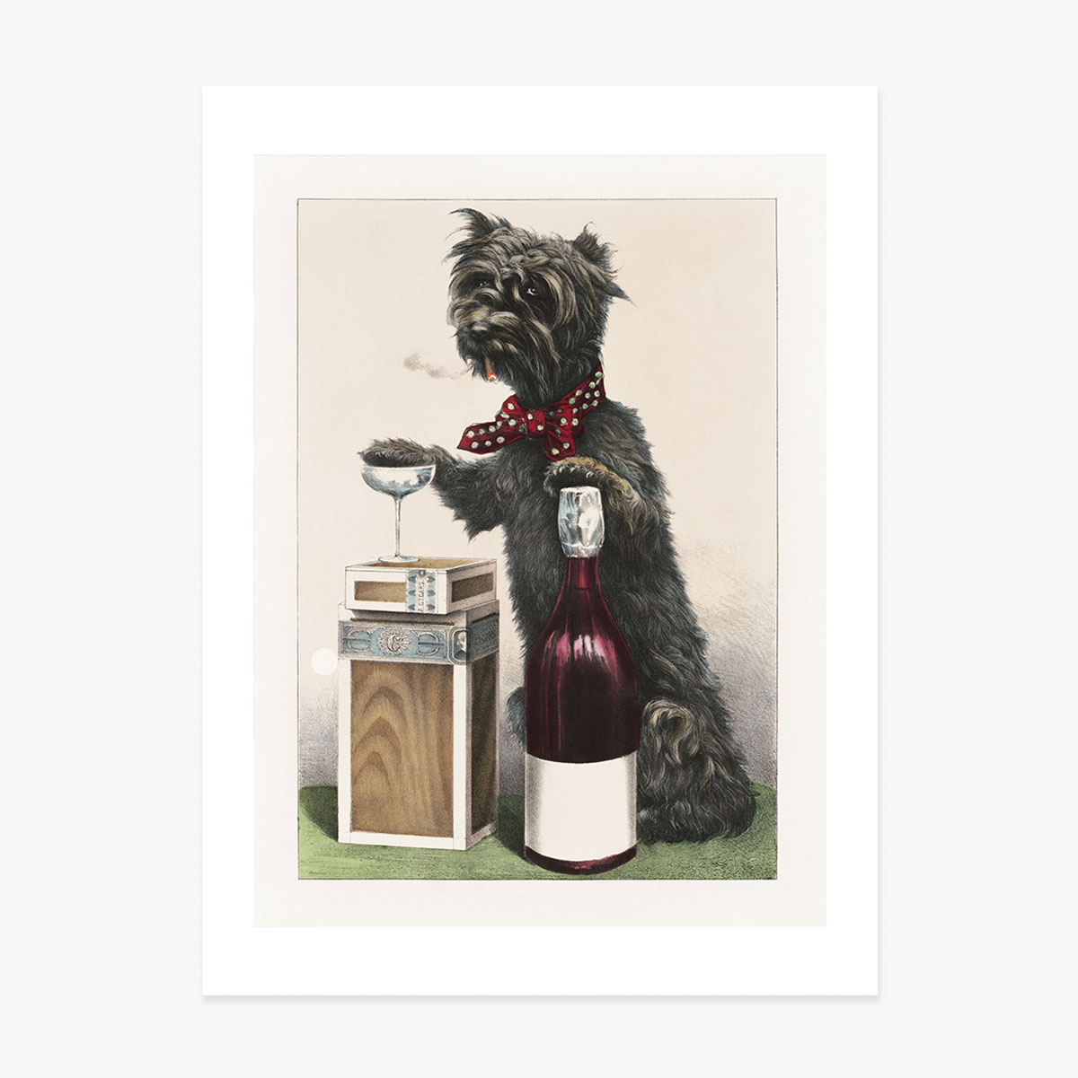 Happy Catel Poster