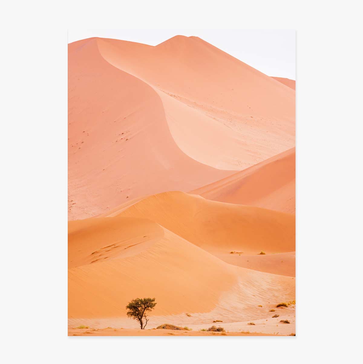 Dunes Poster