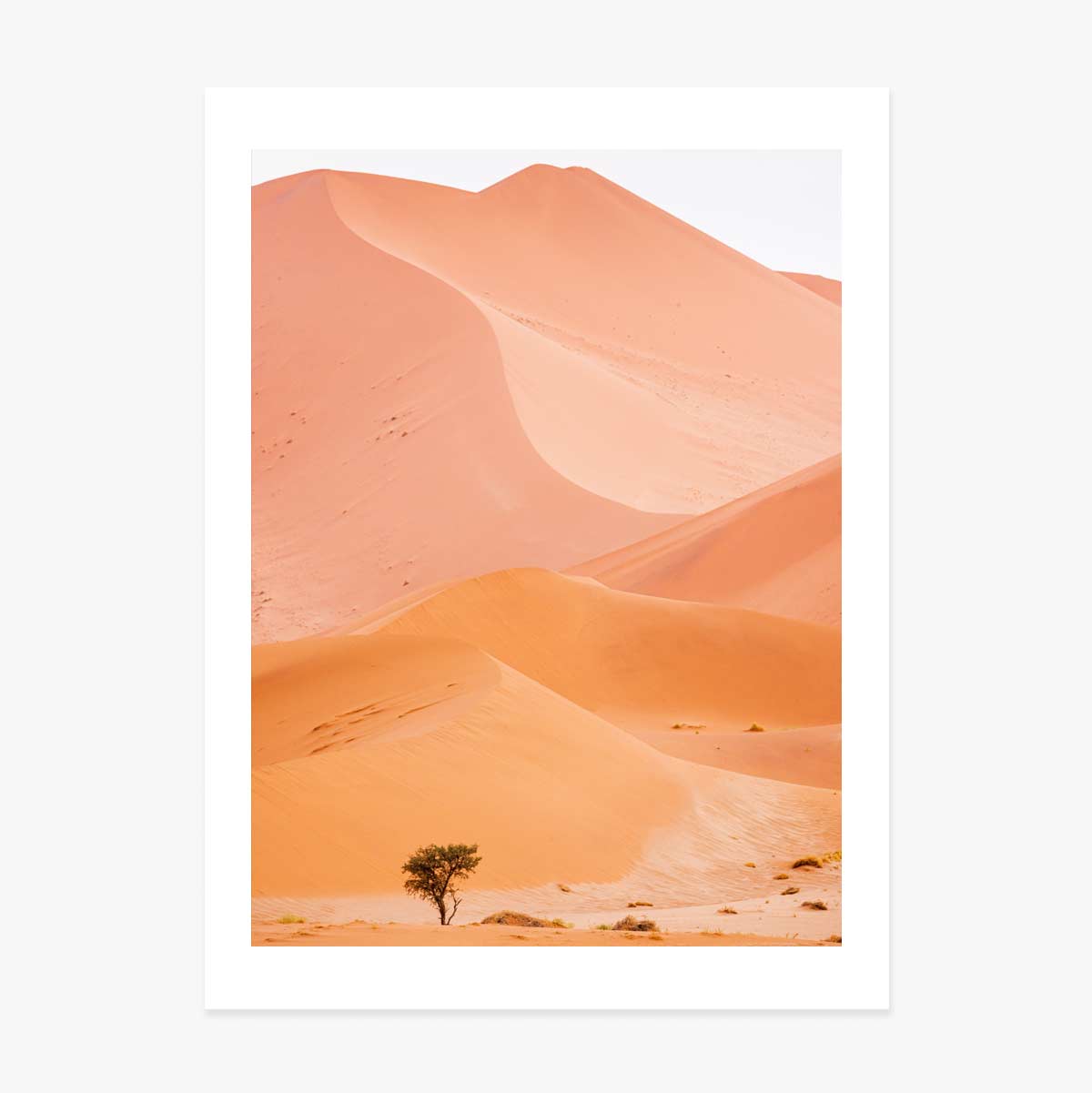 Dunes Poster
