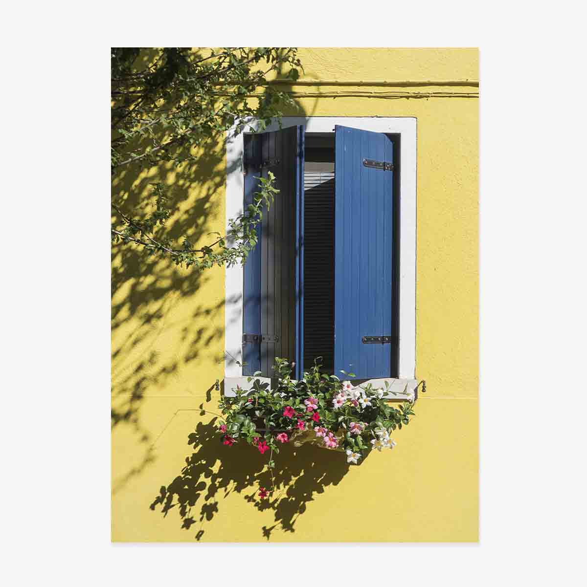 Poster Fereastră albastră cu flori