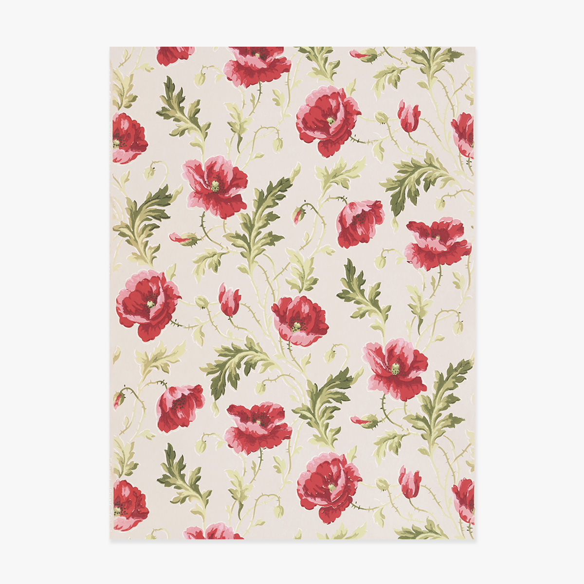 Pink Flowers Poster