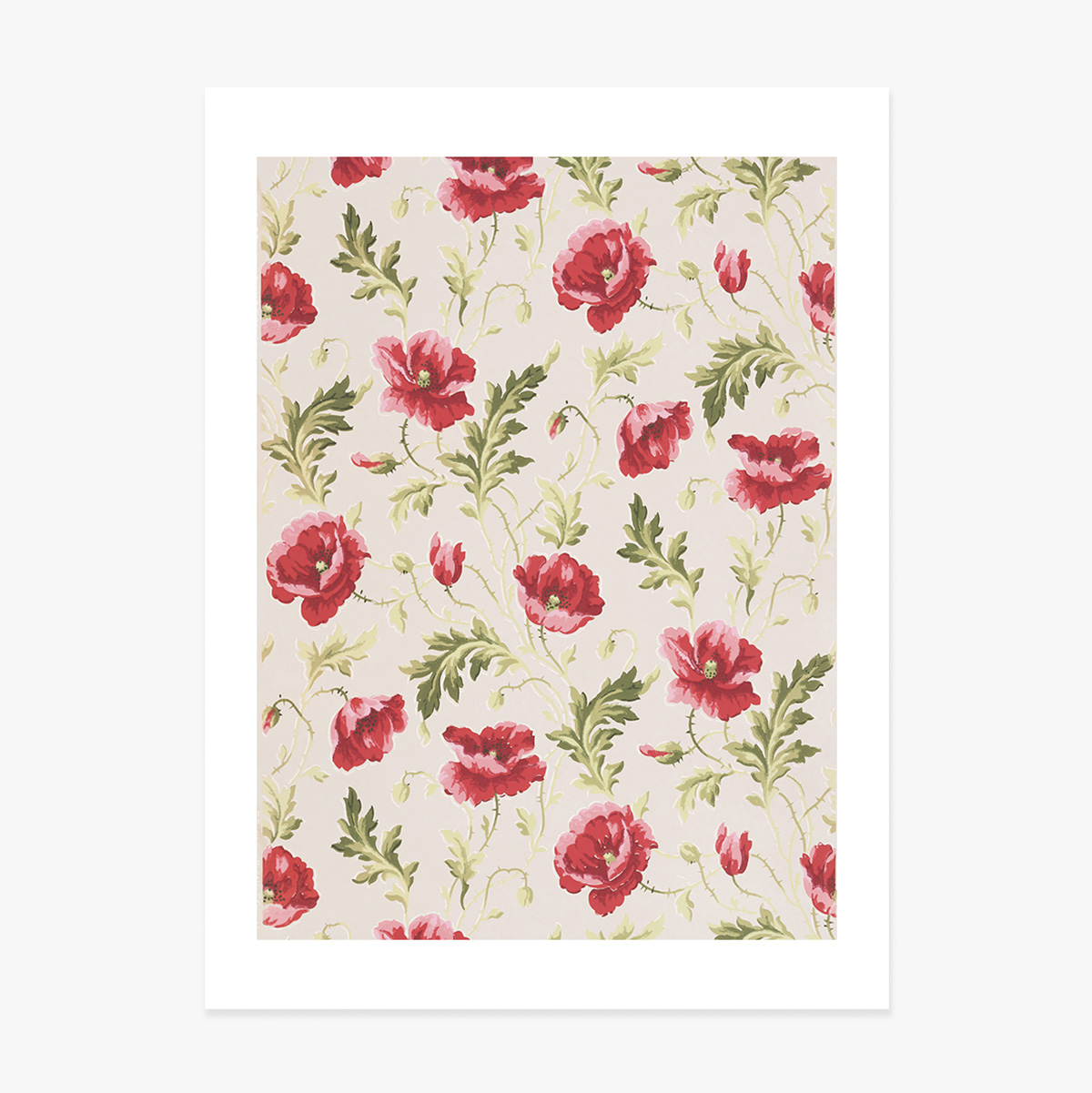 Pink Flowers Poster