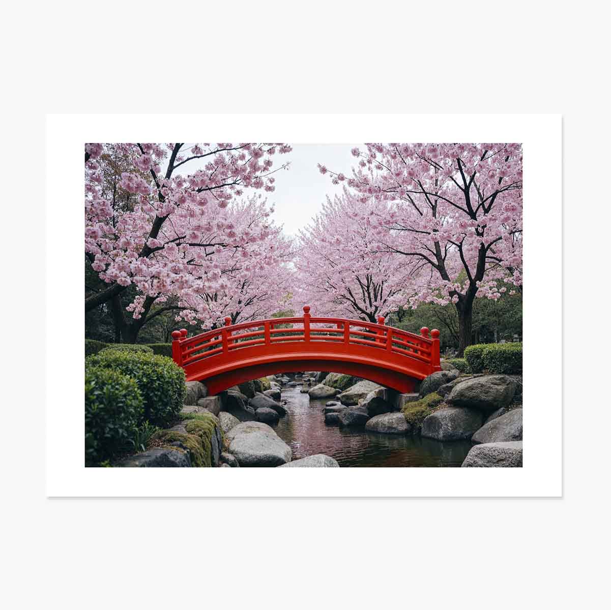 Japanese Garden Poster - Cherry Blossoms