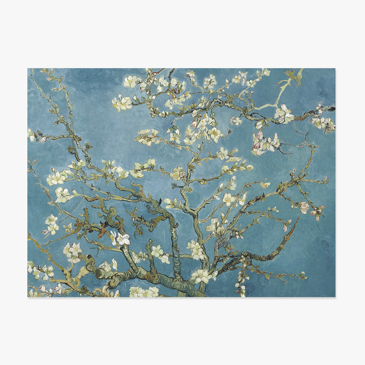 Poster landscape - Vincent Van Gogh - Ramuri de migdal înflorit 1890