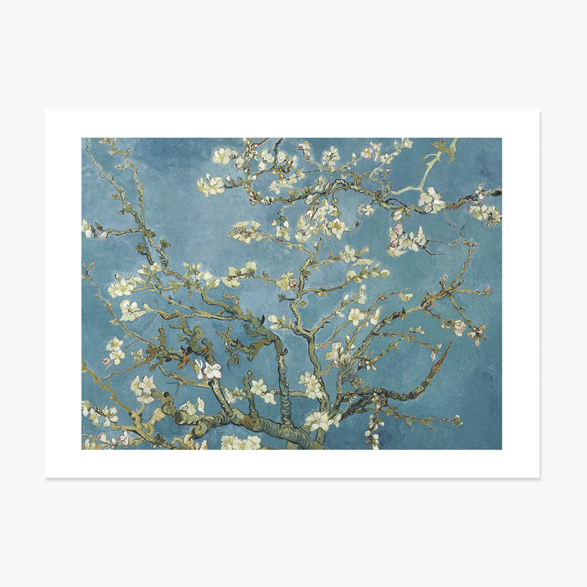 Poster landscape - Vincent Van Gogh - Ramuri de migdal înflorit 1890