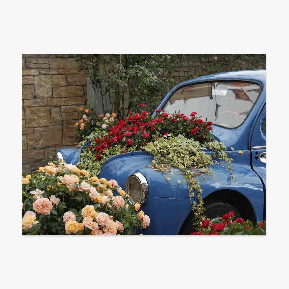 Vintage blue car with flowers poster