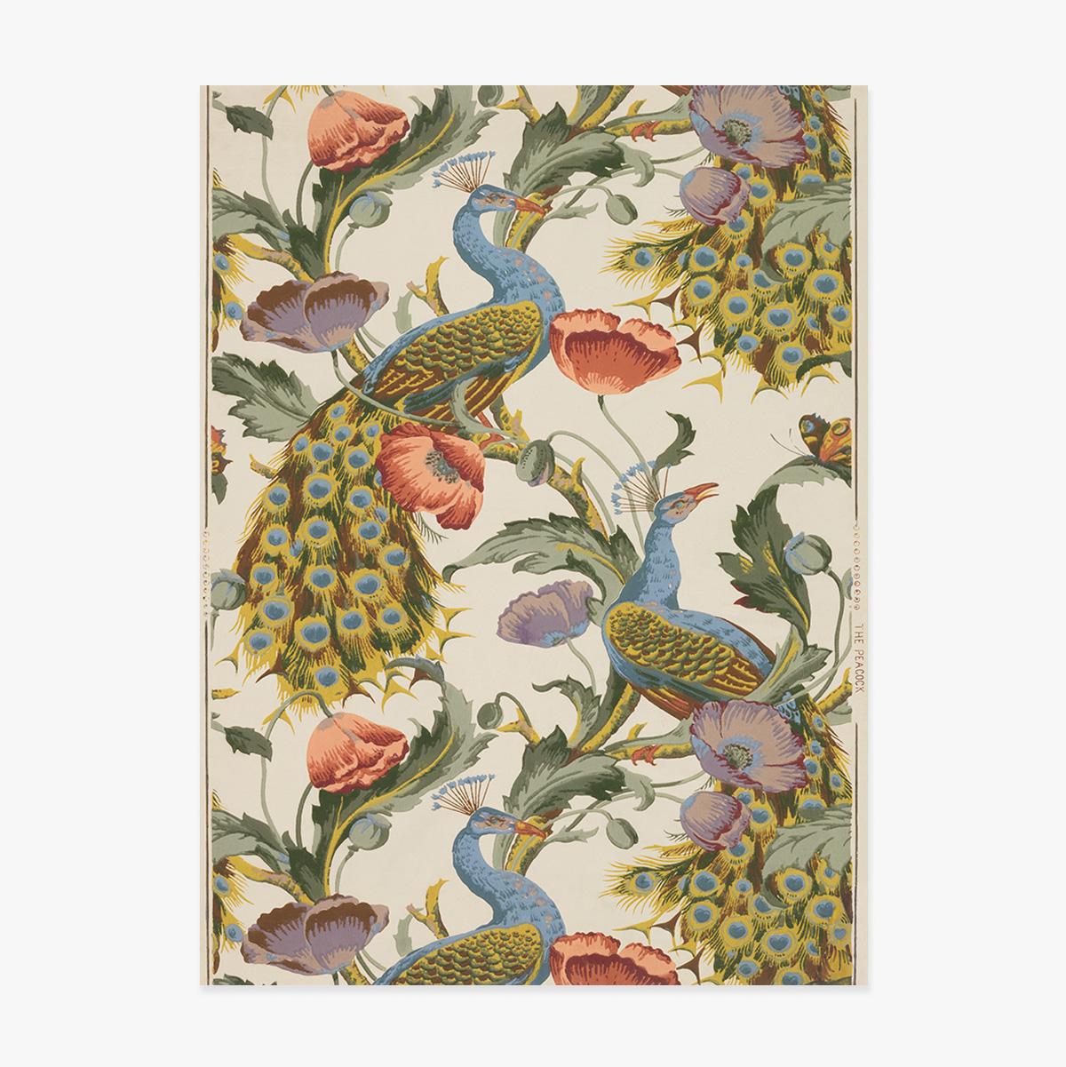 Vintage Peacocks and Poppies Poster