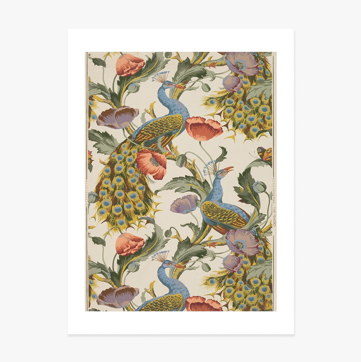 Vintage Peacocks and Poppies Poster