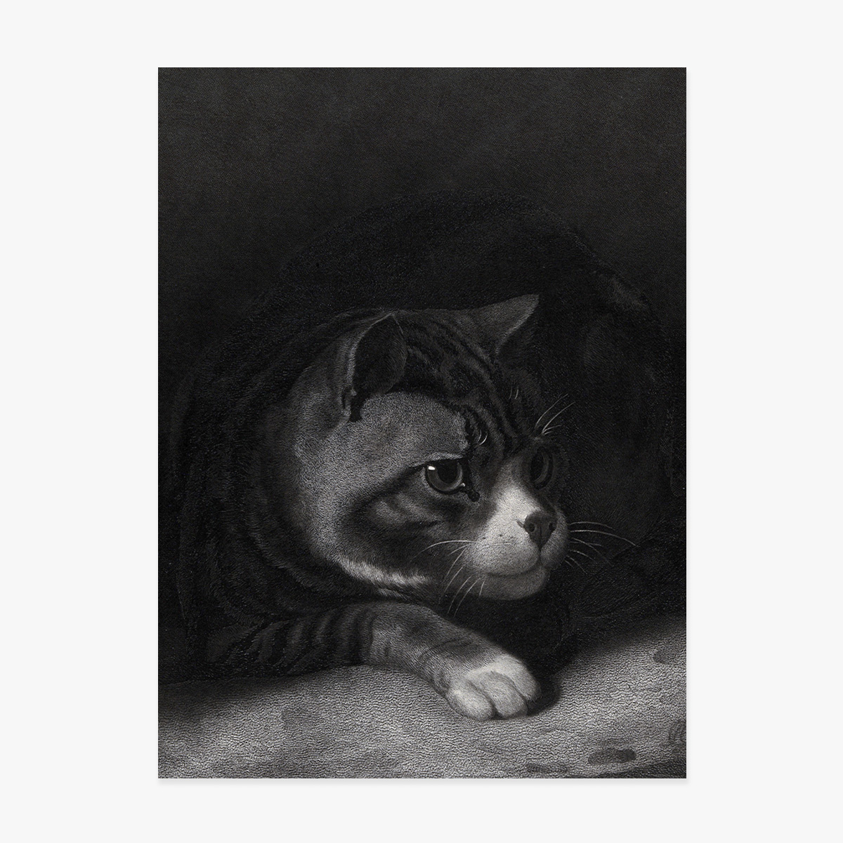 Poster William Gil, Vigilant Cat Watching Through Shadows 1855