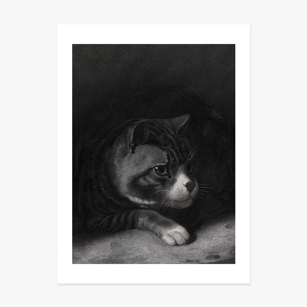 Poster William Gil, Vigilant Cat Watching Through Shadows 1855